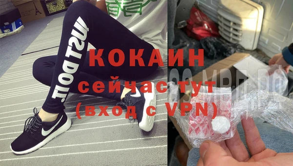 мескалин Карпинск