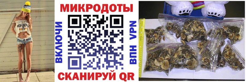 Псилоцибиновые грибы мицелий Купить где Чегем